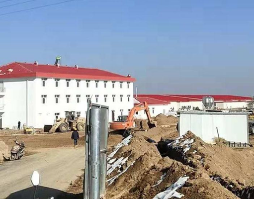 Energy Efficient Steel Structure Pig Breeding Shed / Piggery / Hog House