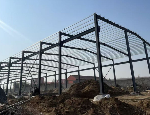 Large Industrial Steel Structure Warehouse Building for Logistics Center Factory Workshop Storage