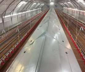Fertighaus mit Stahlkonstruktion, Hühnerstall, vorgefertigte Hühnerfarm, Geflügelfarm für 10.000 Hühner