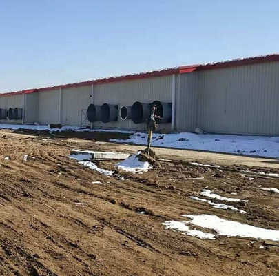 Energieeffiziente Stahlkonstruktion Schweinezüchtungsstall / Schweinehaus / Schweinehaus